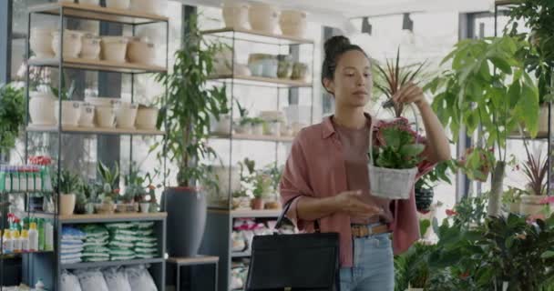 Femme Moyen Orient Client Choisissant Des Plantes Dans Magasin Fleurs — Video