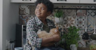 Mutfak masasında oturan ve yavru kediyi okşayan sevimli Afro-Amerikan çocuğun yavaş çekimde portresi. Çocukluk ve evcil hayvan kavramı.