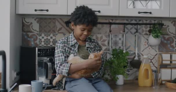 Щасливий Афроамериканський Хлопчик Погладжує Кошеня Сидячи Кухонному Столі Висловлюючи Любов — стокове відео