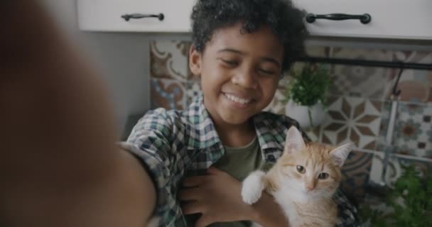 Afro Amerikalı Bir Çocuğun Portresi Çevrimiçi Video Konuşması Yaparken Kedi — Stok video