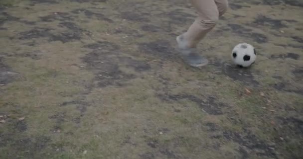 爸爸和儿子在草坪上踢足球 跑来跑去 一起玩球 动作缓慢 体育和家庭活动概念 — 图库视频影像