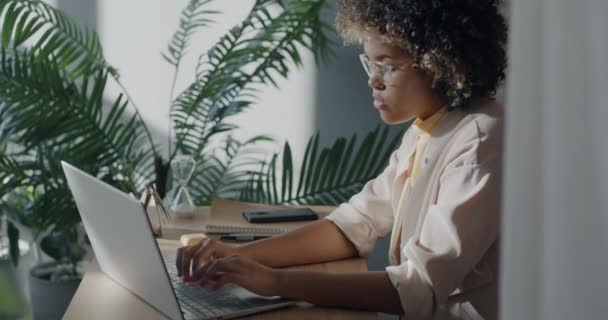 Belle Jeune Femme Affaires Travaillant Avec Ordinateur Portable Concentré Sur Vidéo De Stock Libre De Droits