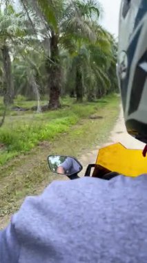 Tropikal seyahat ve ulaşım. Kasklı bir adam palmiye ağaçlarıyla yolda scooter sürüyor..