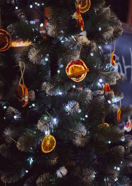 Çevre Dostu Organik Dekorlu Fidan Dalı Noel Arka Planında Parıltılı — Stok fotoğraf
