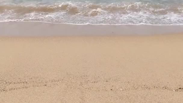 Mediterranean Sea Barceloneta Beach Located Barcelona Catalonia Spain — Stock Video