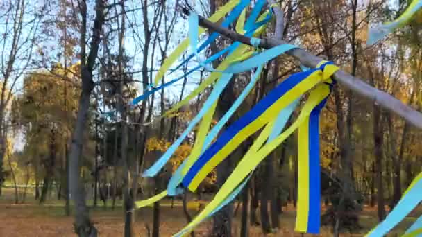 Ribbons Colors National Flag Ukraine Symbol Maidan Resistance War Ukraine — Stock Video