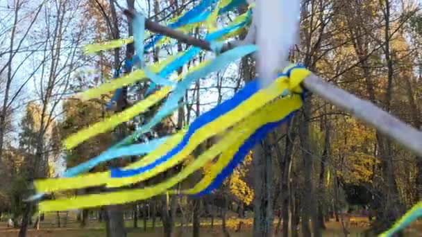 Ukrayna Ulusal Renklerinde Kurdeleler Sarı Mavi Bantlar — Stok video