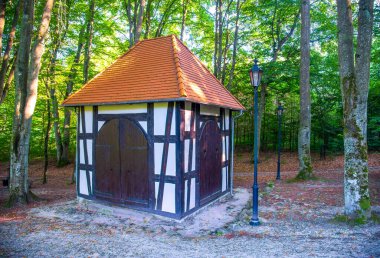 Wejherowo Süvarisi. Polonya 'nın Wejherowo kasabasında güzel bir park.