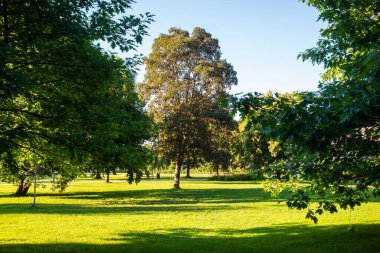 Aleksander Majkowski Parkı. Wejherowo kasabasındaki güzel park, Pomeranya Voyvoda, Polonya