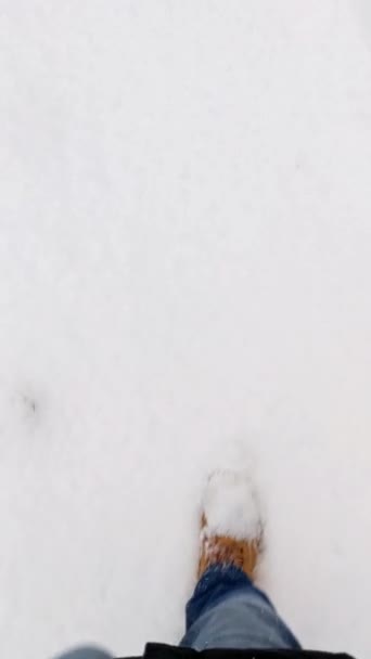 Las Botas Beige Mujer Van Nieve Día Helado Las Botas — Vídeos de Stock