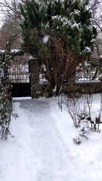 Flocos Neve Caindo Câmera Lenta — Vídeo de Stock
