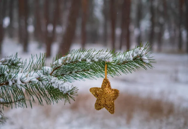Weihnachtsschmuck Auf Dem Ast Wald Unschärfe Weicher Fokus — Stockfoto