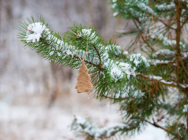 Karácsonyi Háttér Díszítéssel Fenyőfa Közelkép Faágon Erdőben Homályos Lágy Fókusz Stock Kép