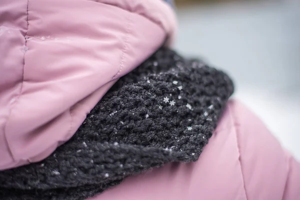 Vista Posterior Mujer Abrigo Cubierto Nieve Sombrero Punto Bufanda Parque —  Fotos de Stock
