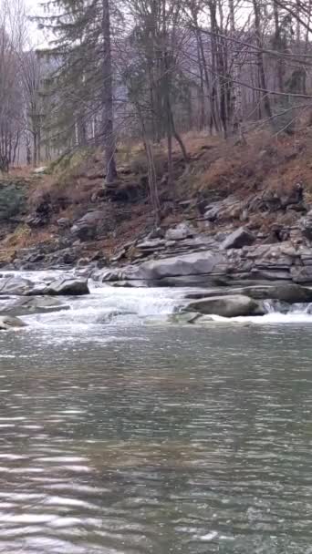 Гірська Річка Холодною Чистою Водою Річка Тече Через Камінці Невеликим — стокове відео