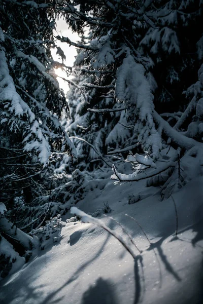 Zimowy Krajobraz Karpatach Słoneczny Zimowy Dzień — Zdjęcie stockowe