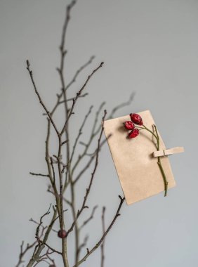 El yapımı kağıt zarflar evdeki bir ağaç dalına asılıyor. Noel ve Yeni Yıl konsepti, size mesaj