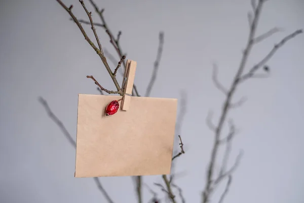 手作り封筒は自宅の木の枝にかかっています クリスマスと新年のコンセプト あなたのためのメッセージ スペースのコピー — ストック写真