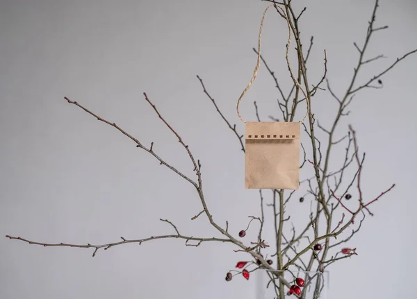 クラフト紙の封筒 自宅の木の枝に手作りのアドベンチャーカレンダーがかかっています クリスマスと新年のコンセプト — ストック写真