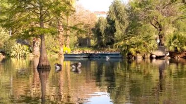 Barcelona, Katalonya, İspanya 'daki De la Ciutadella Parkı' nda gölet