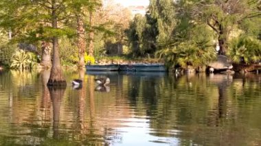 Barcelona, Katalonya, İspanya 'daki De la Ciutadella Parkı' nda gölet