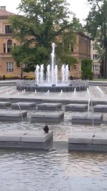 Polonya, Lublin 'deki eski kasaba meydanındaki çeşme.