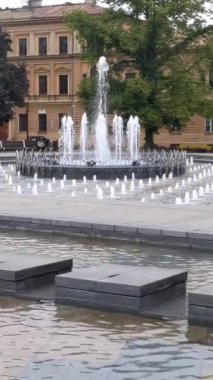 Polonya, Lublin 'deki eski kasaba meydanındaki çeşme.