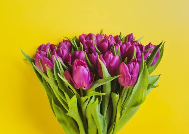 Beautiful romantic bouquet of pink tulips on the yellow background. Valentines day, Womens day or Mothers day celebration concept