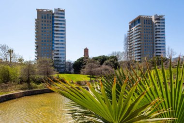 A beautiful mixed park with palm trees and a small pond next to a high-rise modern residential area in Barcelona, Catalonia, Spain