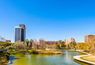 A beautiful mixed park with palm trees and a small pond next to a high-rise modern residential area in Barcelona, Catalonia, Spain