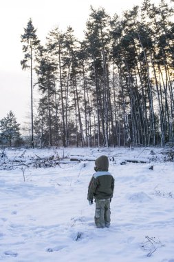 Photos from behind of boy. Little boy back view walking through the nature. Healthy active life
