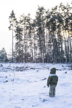 Photos from behind of boy. Little boy back view walking through the nature. Healthy active life