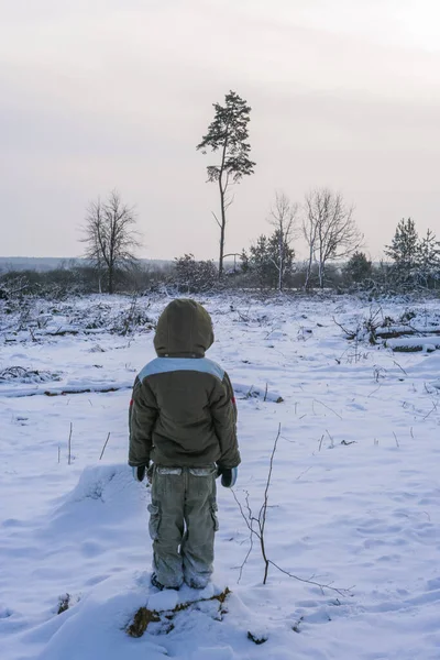 Küçük çocuk doğada yürüyor. Sağlıklı aktif yaşam