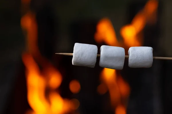 Marshmallow on a stick being roasted over a camping fire. Camping, summer concept, picnic in nature