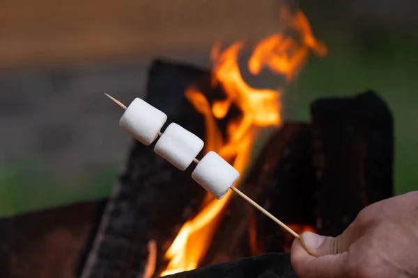 marshmallow on a stick being roasted over a camping fire. Camping, summer concept
