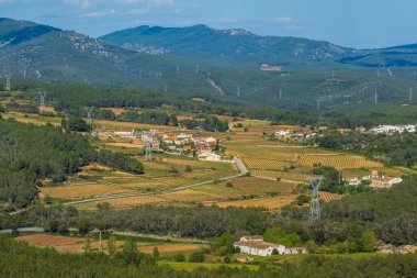 Vilafranca del Penedes, Katalunya, İspanya yakınlarındaki yaz üzüm bağları ile manzara