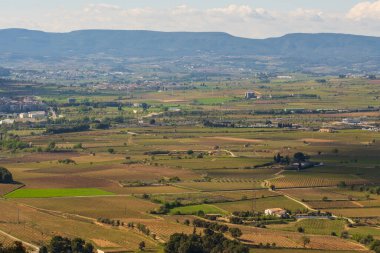 Landscape with summer vineyards and Montserrat at background near Vilafranca del Penedes, Catalonia, Spain