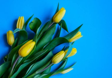 Güzel romantik bir buket sarı lale. 8 Mart, doğum günü, anneler günü, sevgililer günü için tebrikler.