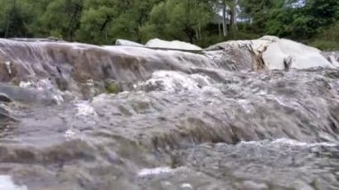 Hızlı akıntılı güzel bir dağ nehri. Prut nehri, bahar manzarası ve Tatariv, Ivano-Frankivsk Oblastı, Ukrayna 'daki jeolojik dağ kıvrımları