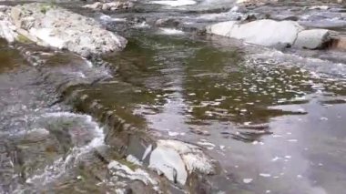 Hızlı akıntılı güzel bir dağ nehri. Prut nehri, bahar manzarası ve Tatariv, Ivano-Frankivsk Oblastı, Ukrayna 'daki jeolojik dağ kıvrımları