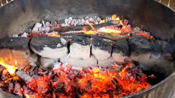 Cuchnące Węgle Popiół Grillu Zbliżenie Płomieni Iskier Zwolnione Tempo — Wideo stockowe
