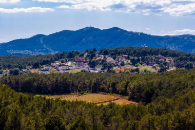 Vilafranca del Penedes, Katalunya, İspanya yakınlarındaki yaz üzüm bağları ile manzara