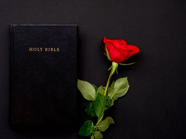 stock image Holy Bible and red roses on the black and red background. Christian concept, copy space