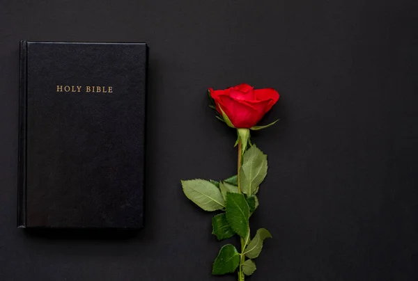 stock image Holy Bible and red roses on the black and red background. Christian concept, copy space