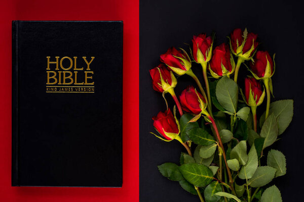 Holy Bible and red roses on the black and red background. Christian concept, believe and faith for christian people. Copy space