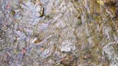 Hızlı akıntılı güzel bir dağ nehri. Yaz manzarası