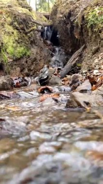 Sonbahar ormanında şelale