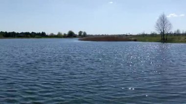 Ormanda göl, bahar zamanı.