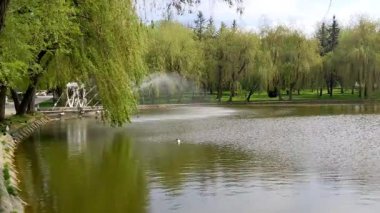 Şehir parkındaki çeşme, bahar zamanı.