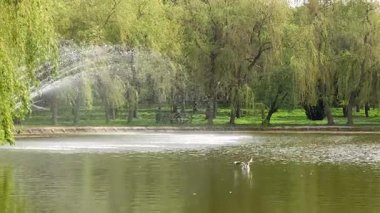 Şehir parkındaki çeşme